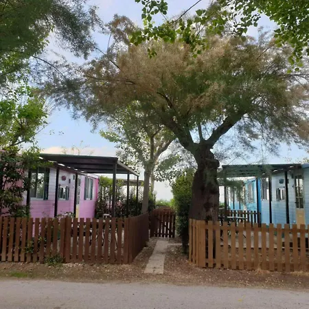 Camping Villaggio Cortina Campeggio Senigallia